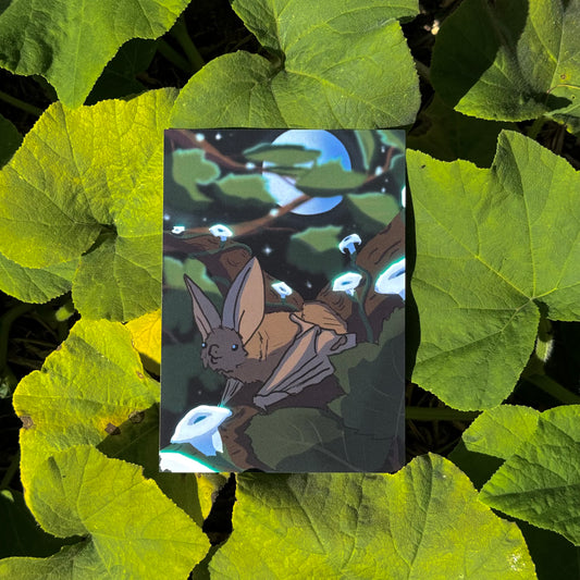 Pekapeka | A6