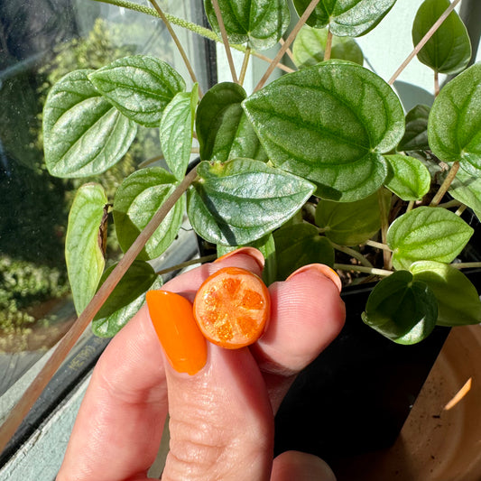 Sparkly  orange pin | Hand-made clay pin
